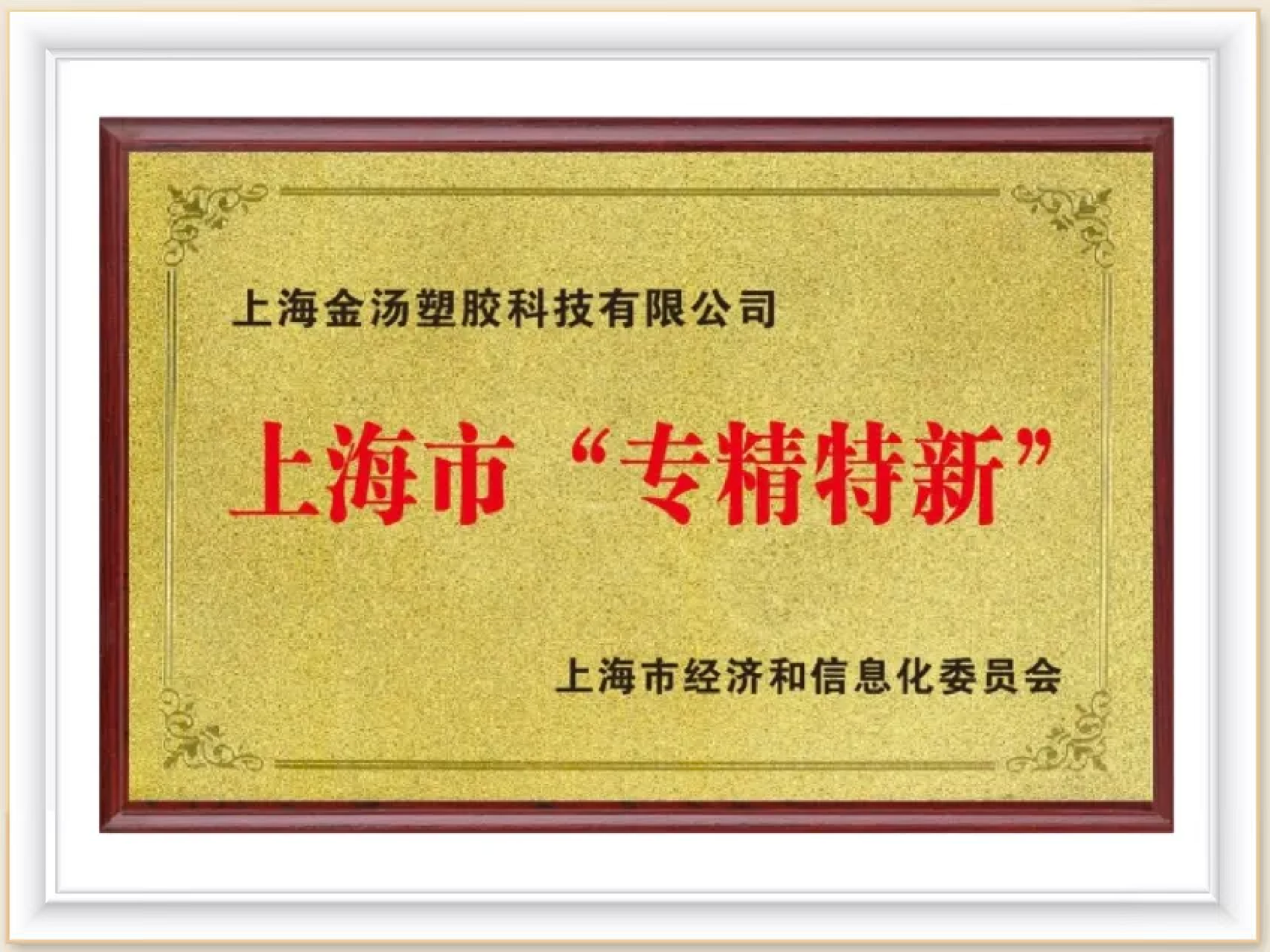 Shanghai’s “Specialized, Fine, and New” Program